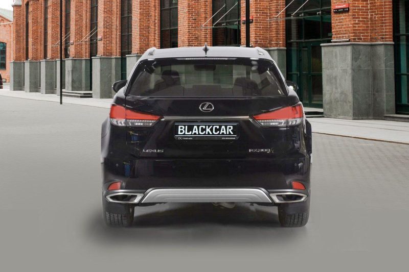 Lexus RX 300 rest.
