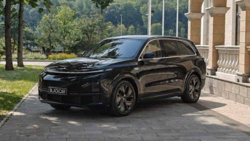 LiXiang L9